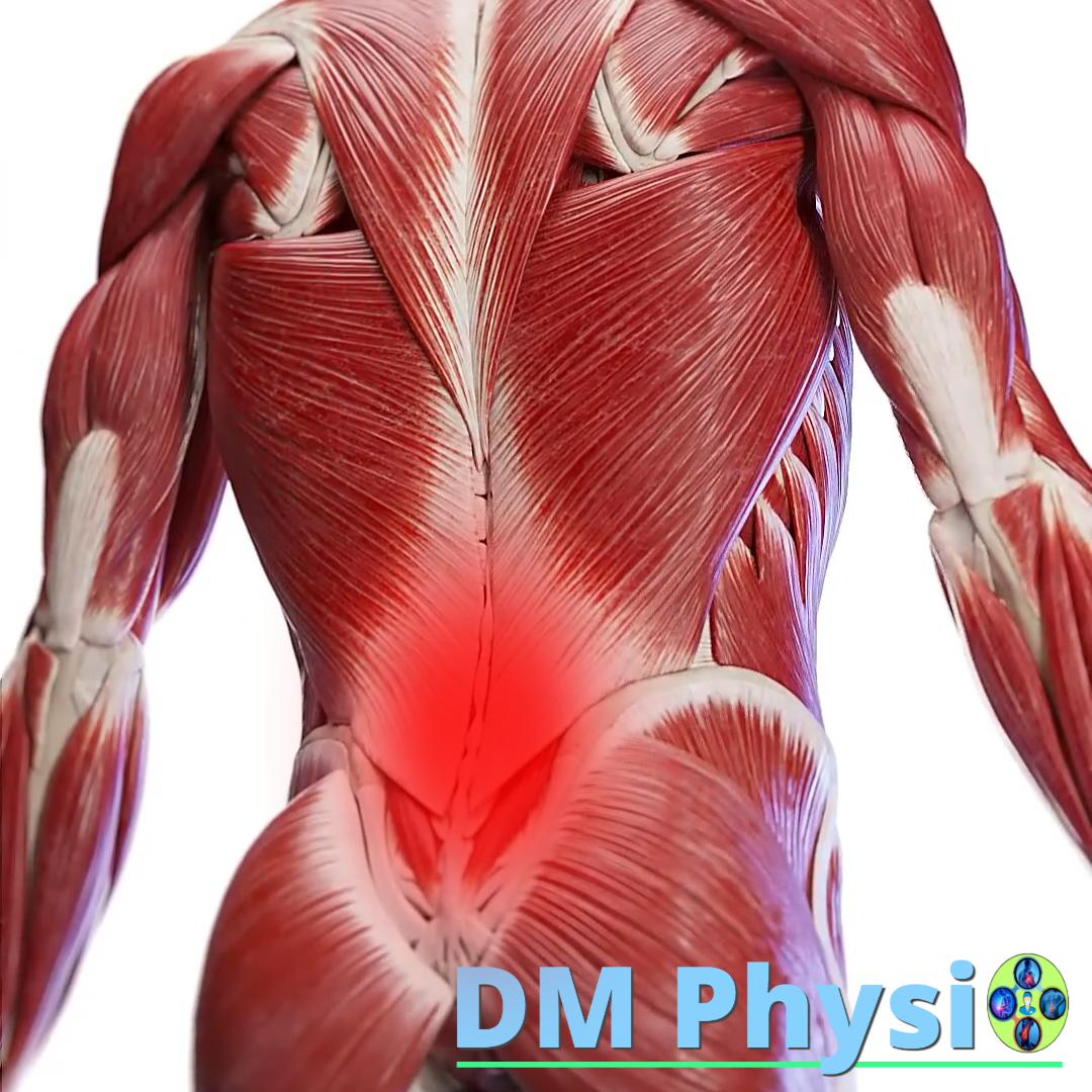 Изображение на мускулите на кръста